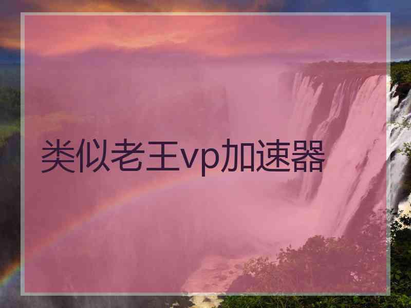 类似老王vp加速器