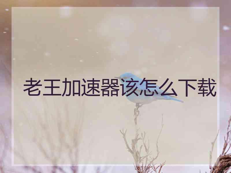 老王加速器该怎么下载