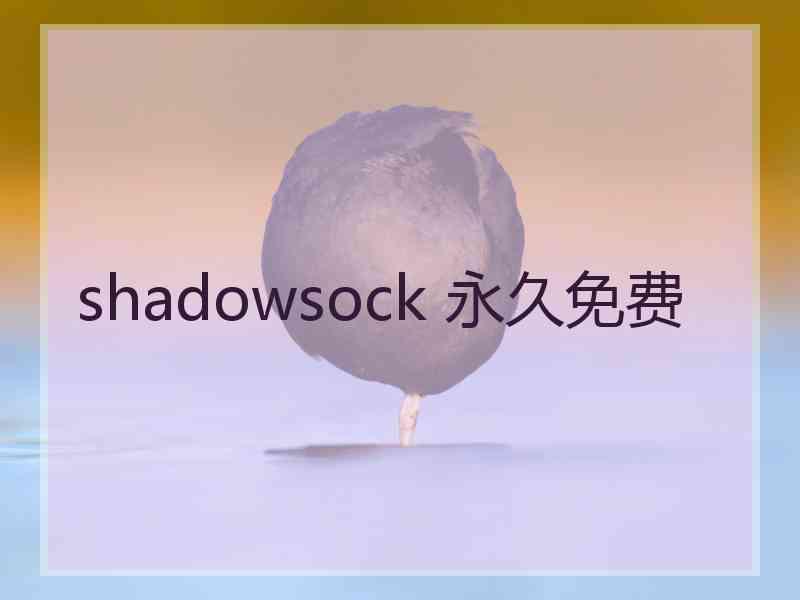 shadowsock 永久免费