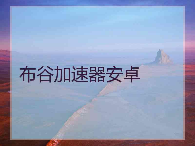 布谷加速器安卓