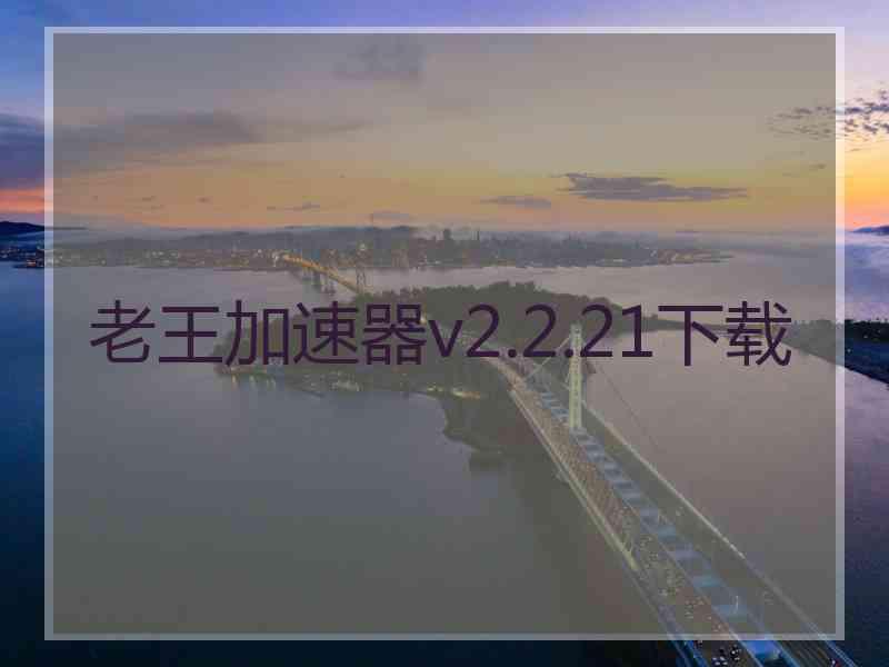 老王加速器v2.2.21下载