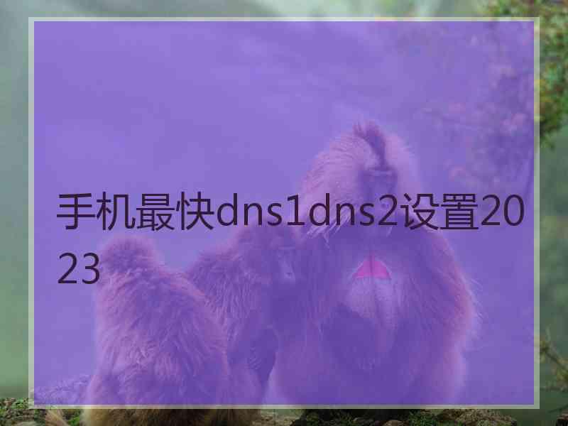 手机最快dns1dns2设置2023