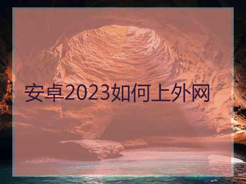 安卓2023如何上外网