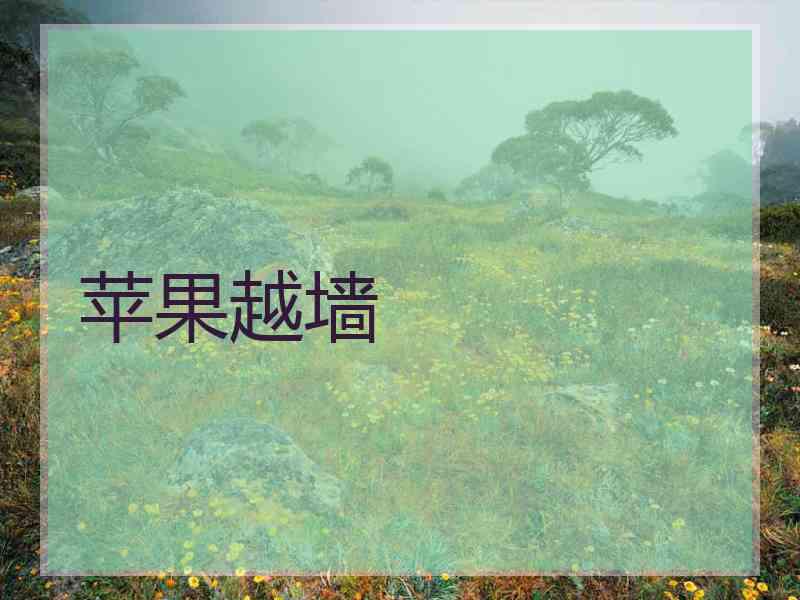苹果越墙