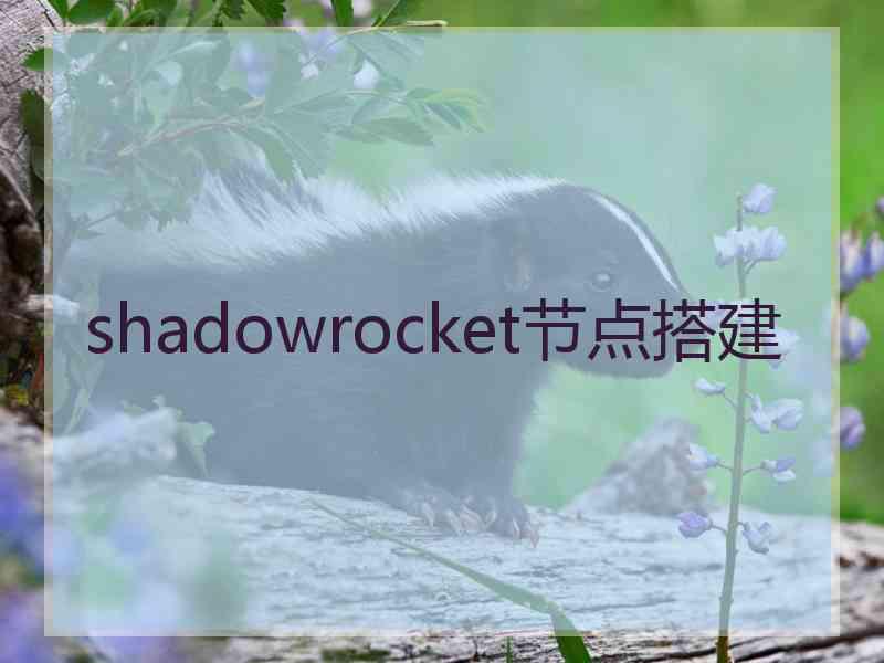 shadowrocket节点搭建