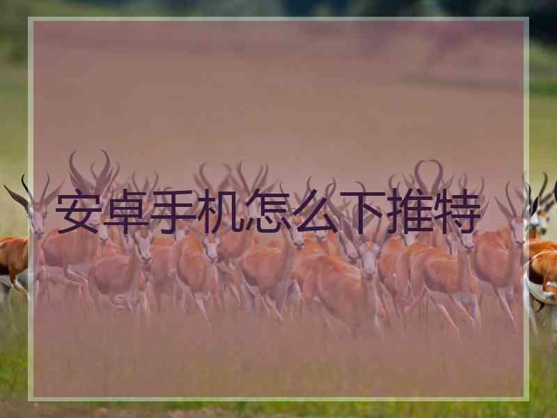 安卓手机怎么下推特