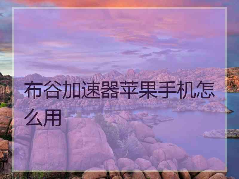 布谷加速器苹果手机怎么用