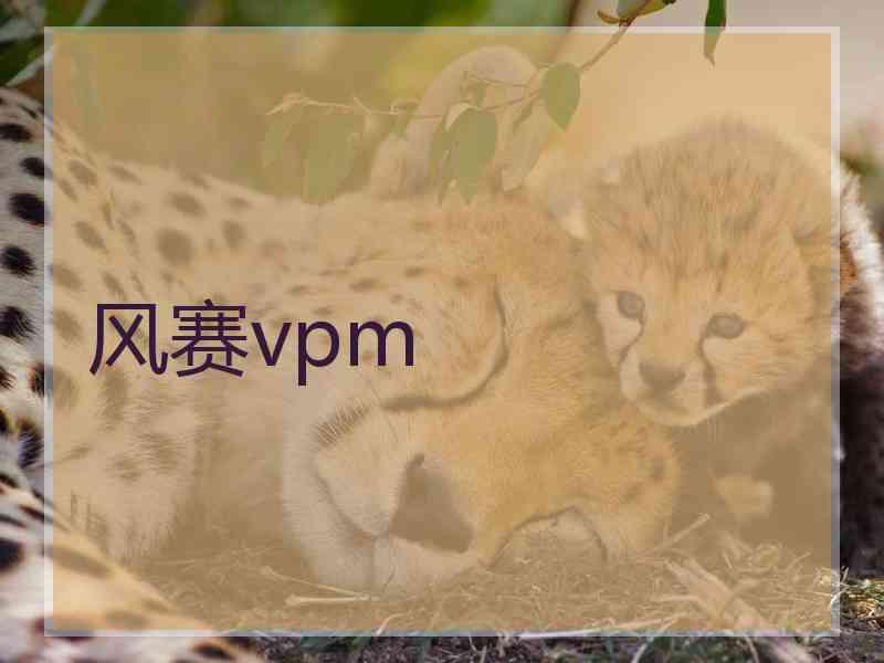 风赛vpm