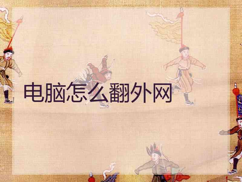 电脑怎么翻外网