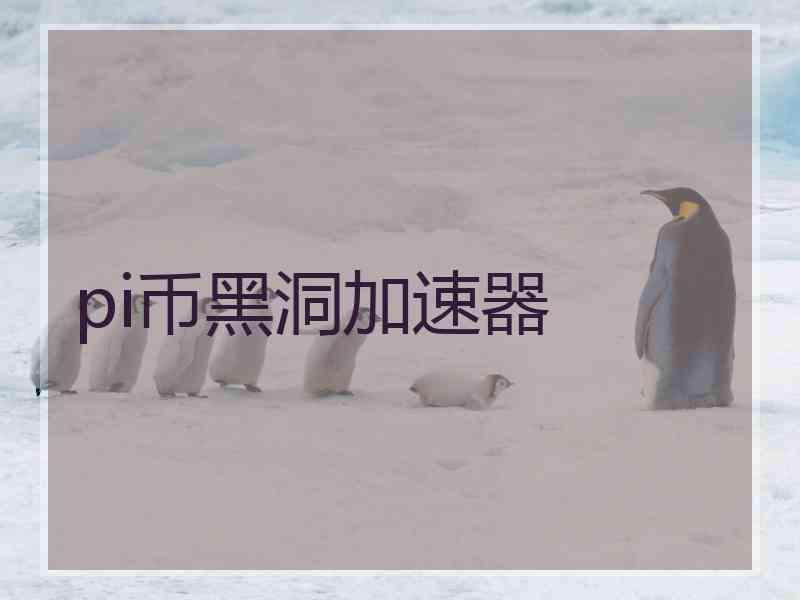 pi币黑洞加速器
