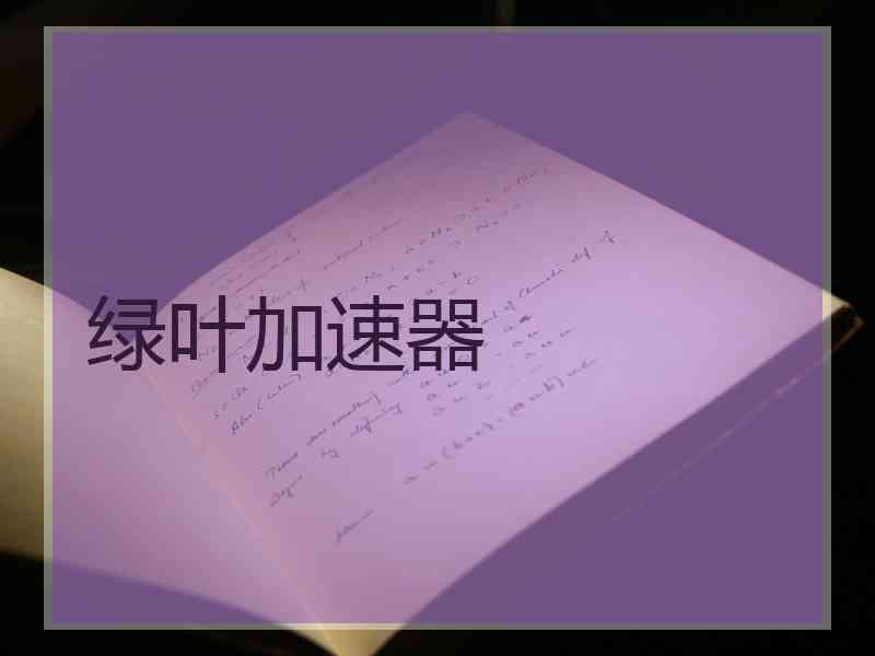 绿叶加速器