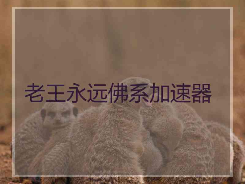 老王永远佛系加速器