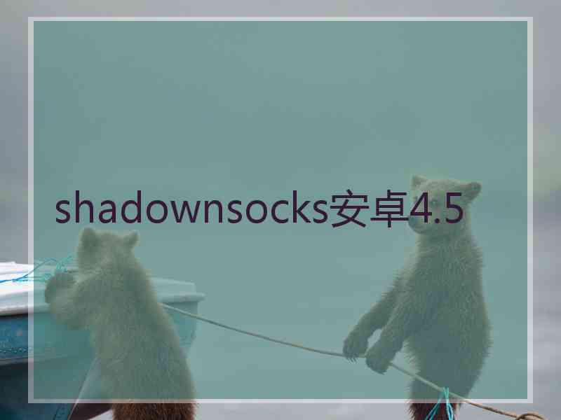 shadownsocks安卓4.5