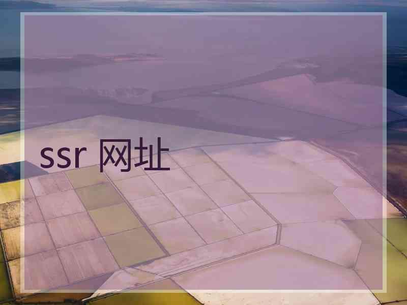 ssr 网址