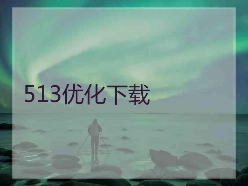 513优化下载
