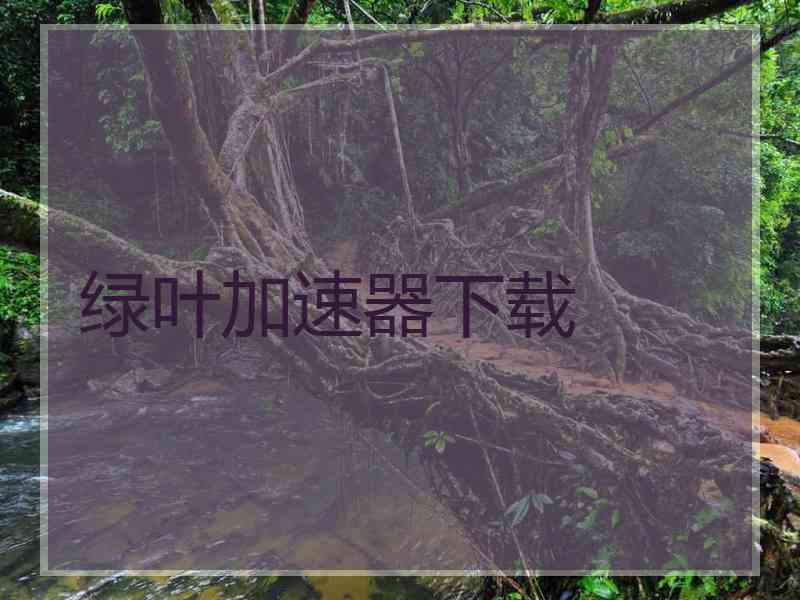 绿叶加速器下载