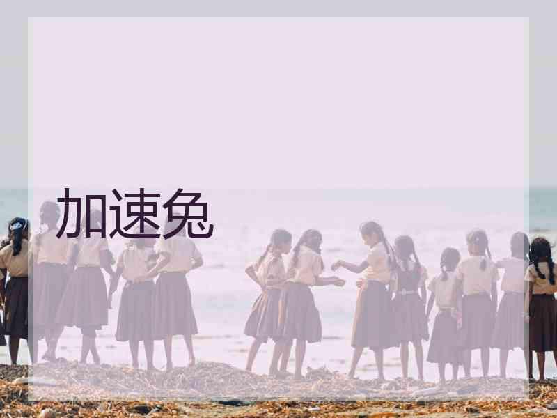 加速兔