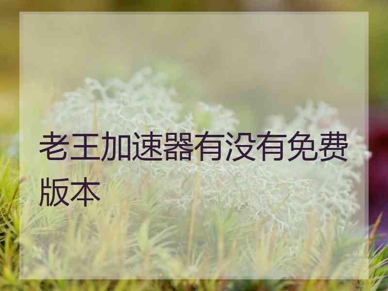 老王加速器有没有免费版本