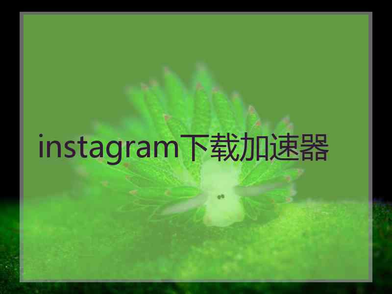 instagram下载加速器