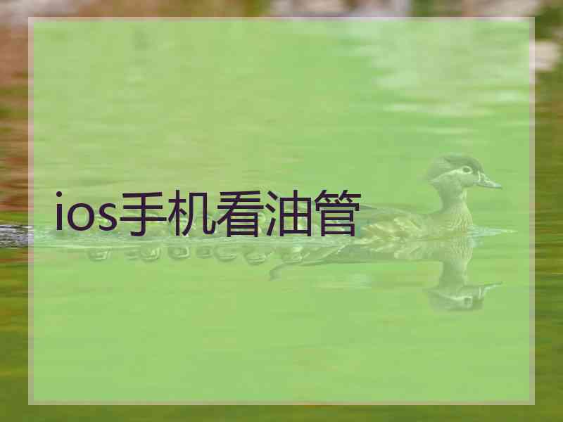 ios手机看油管