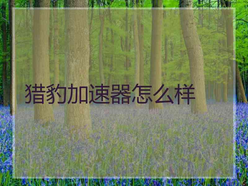 猎豹加速器怎么样