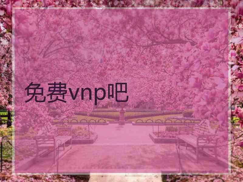 免费vnp吧