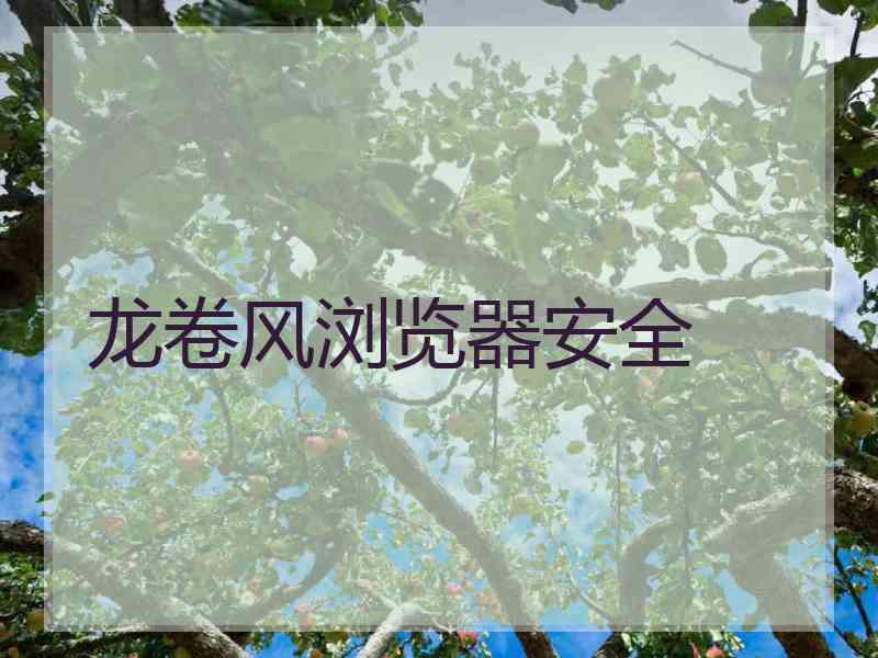 龙卷风浏览器安全
