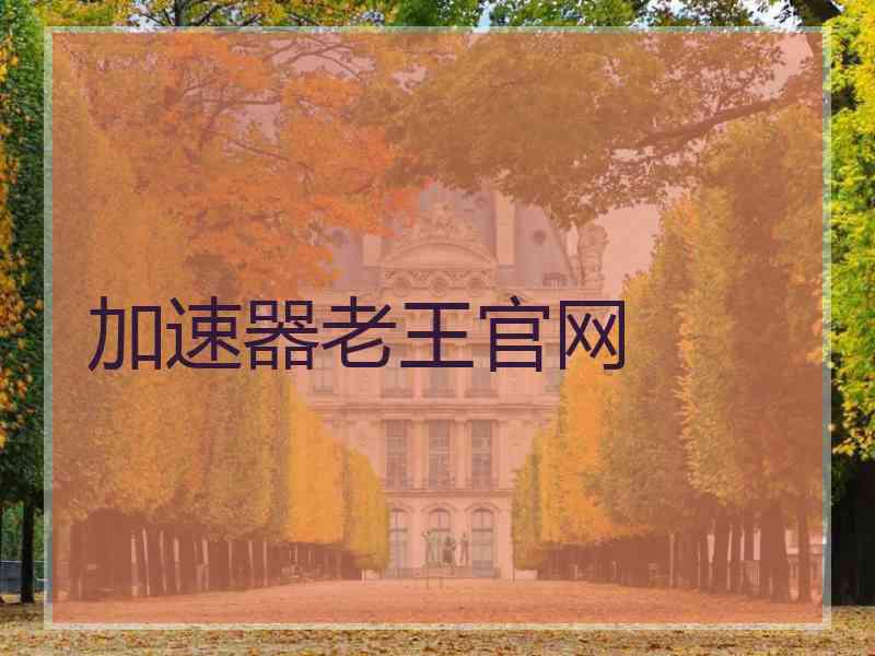 加速器老王官网