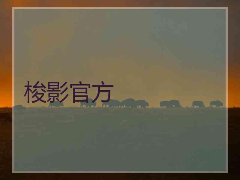 梭影官方
