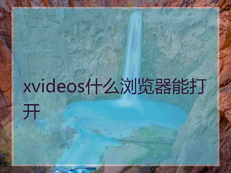 xvideos什么浏览器能打开