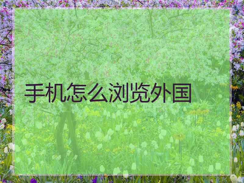 手机怎么浏览外国