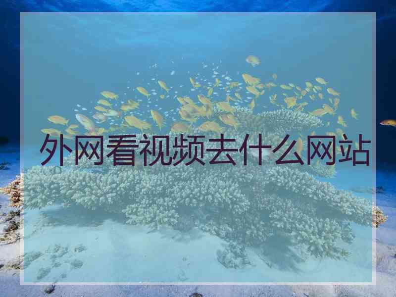 外网看视频去什么网站