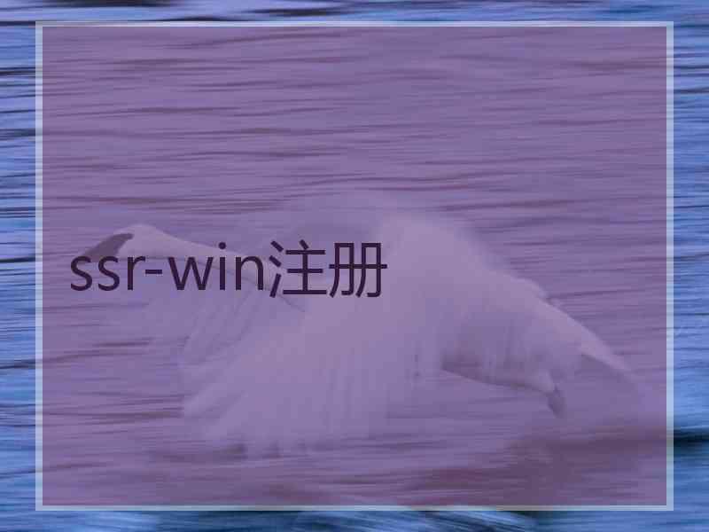 ssr-win注册