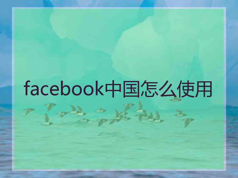facebook中国怎么使用