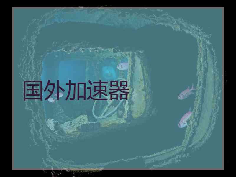 国外加速器