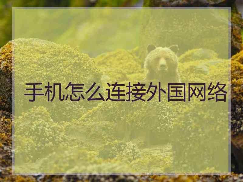 手机怎么连接外国网络