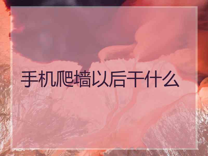 手机爬墙以后干什么