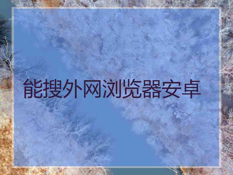 能搜外网浏览器安卓