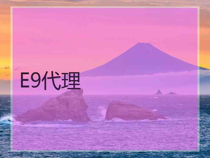 E9代理