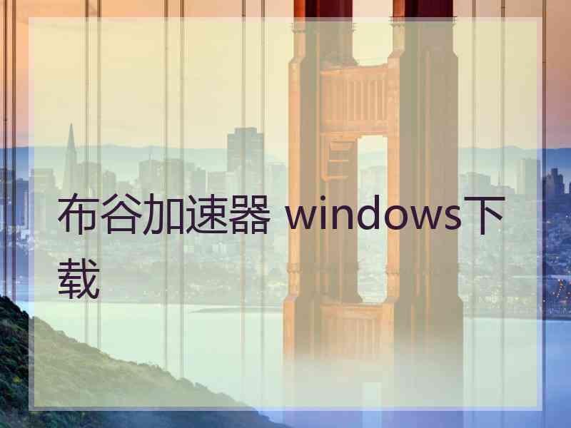 布谷加速器 windows下载