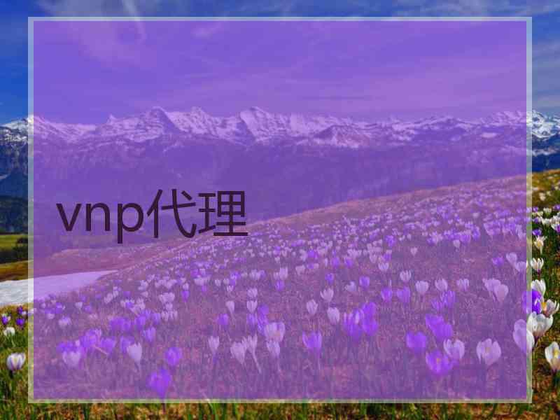 vnp代理