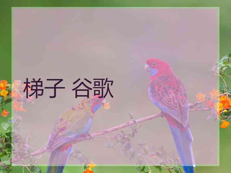 梯子 谷歌