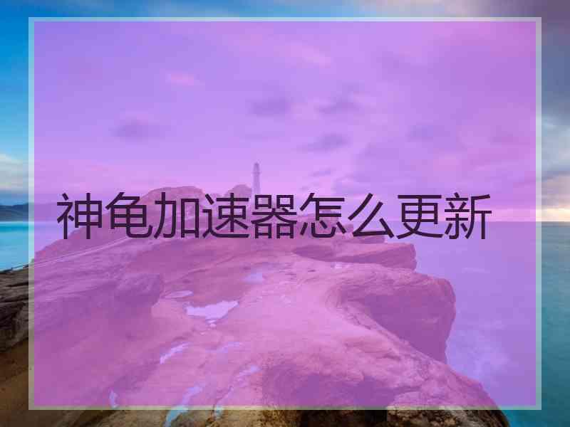 神龟加速器怎么更新