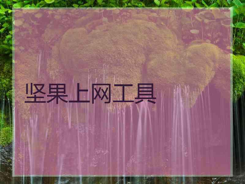 坚果上网工具