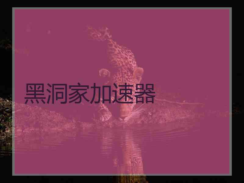 黑洞家加速器