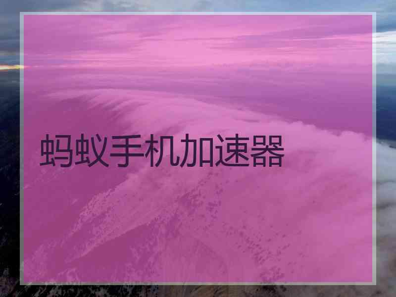 蚂蚁手机加速器