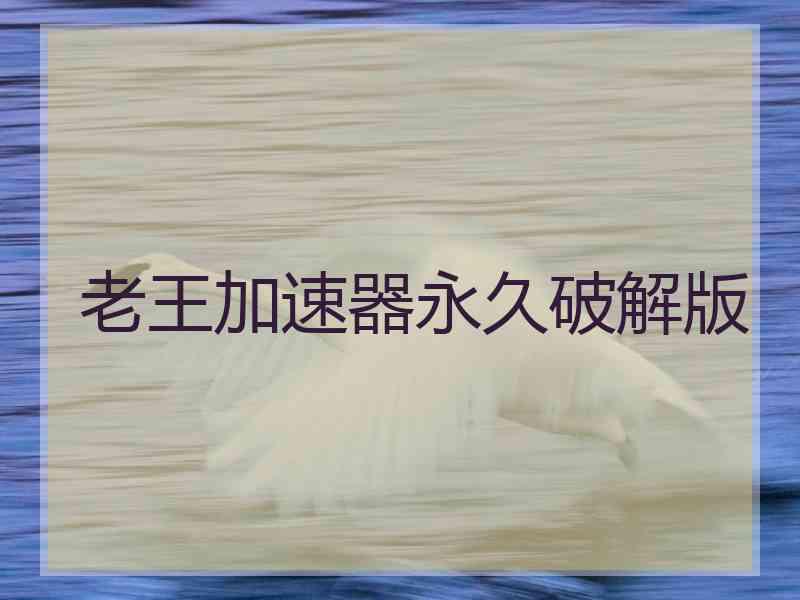 老王加速器永久破解版
