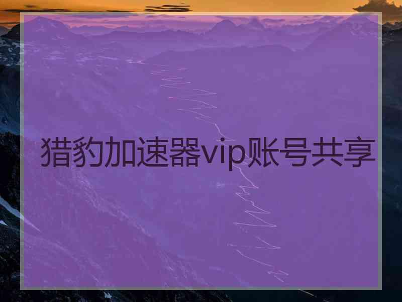猎豹加速器vip账号共享
