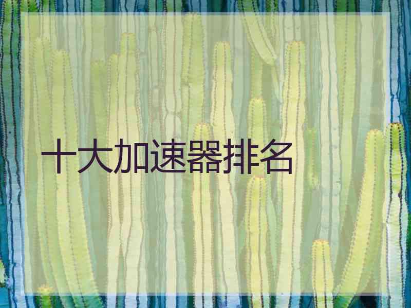 十大加速器排名