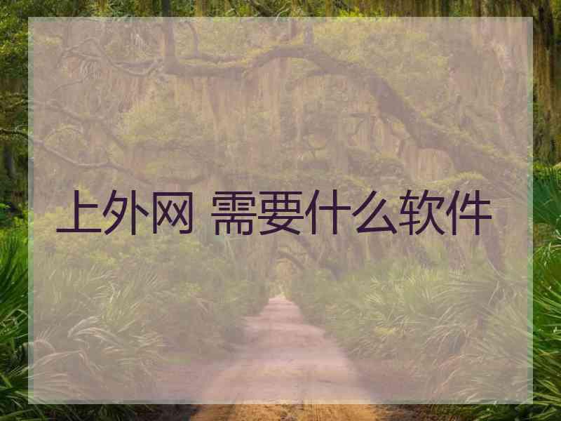 上外网 需要什么软件